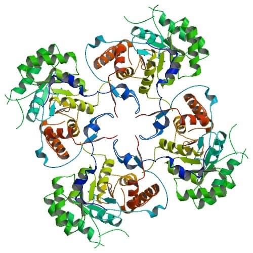 Enzyme Activity Measurement of IMP Dehydrogenase Using Spectrophotometric Assays